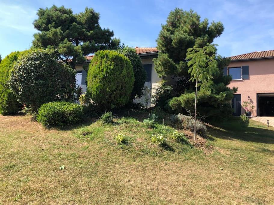 Logements Chaleureux Dans Maison Avec Piscine A 35 Min De Lyon Alix Экстерьер фото
